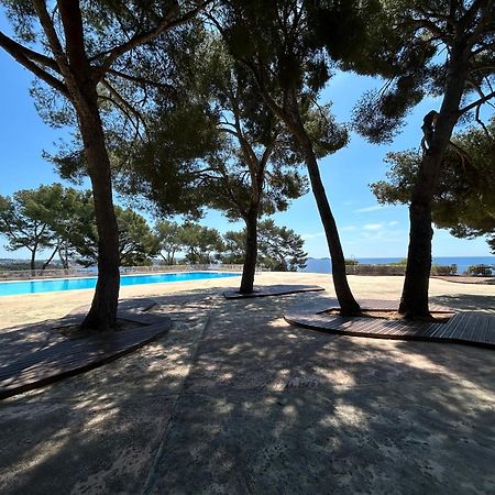 Horizon Bleu Bandol : Appartement Pieds Dans L'Eau Eksteriør billede