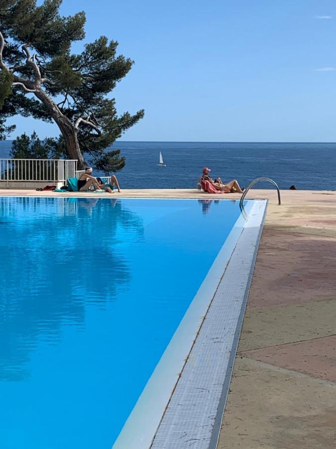 Horizon Bleu Bandol : Appartement Pieds Dans L'Eau Eksteriør billede