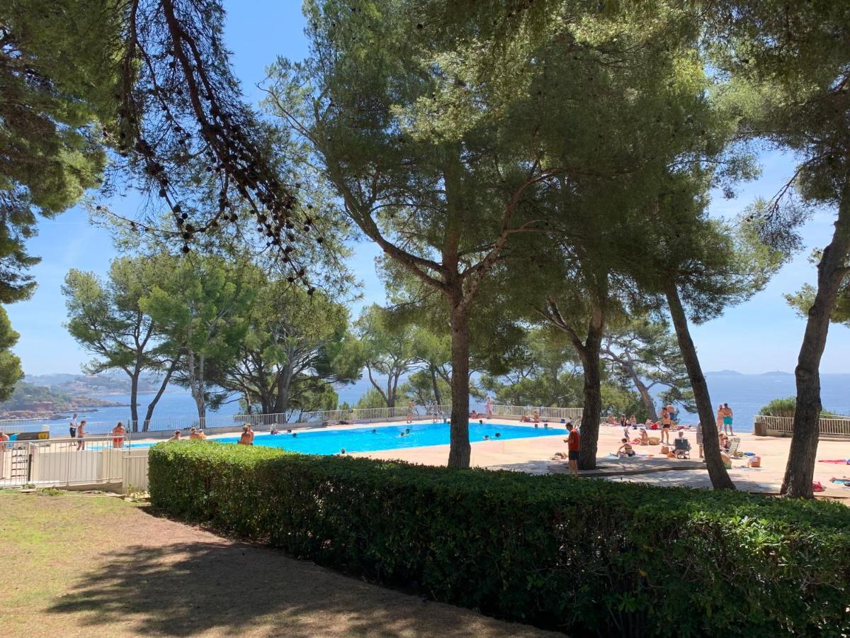 Horizon Bleu Bandol : Appartement Pieds Dans L'Eau Eksteriør billede