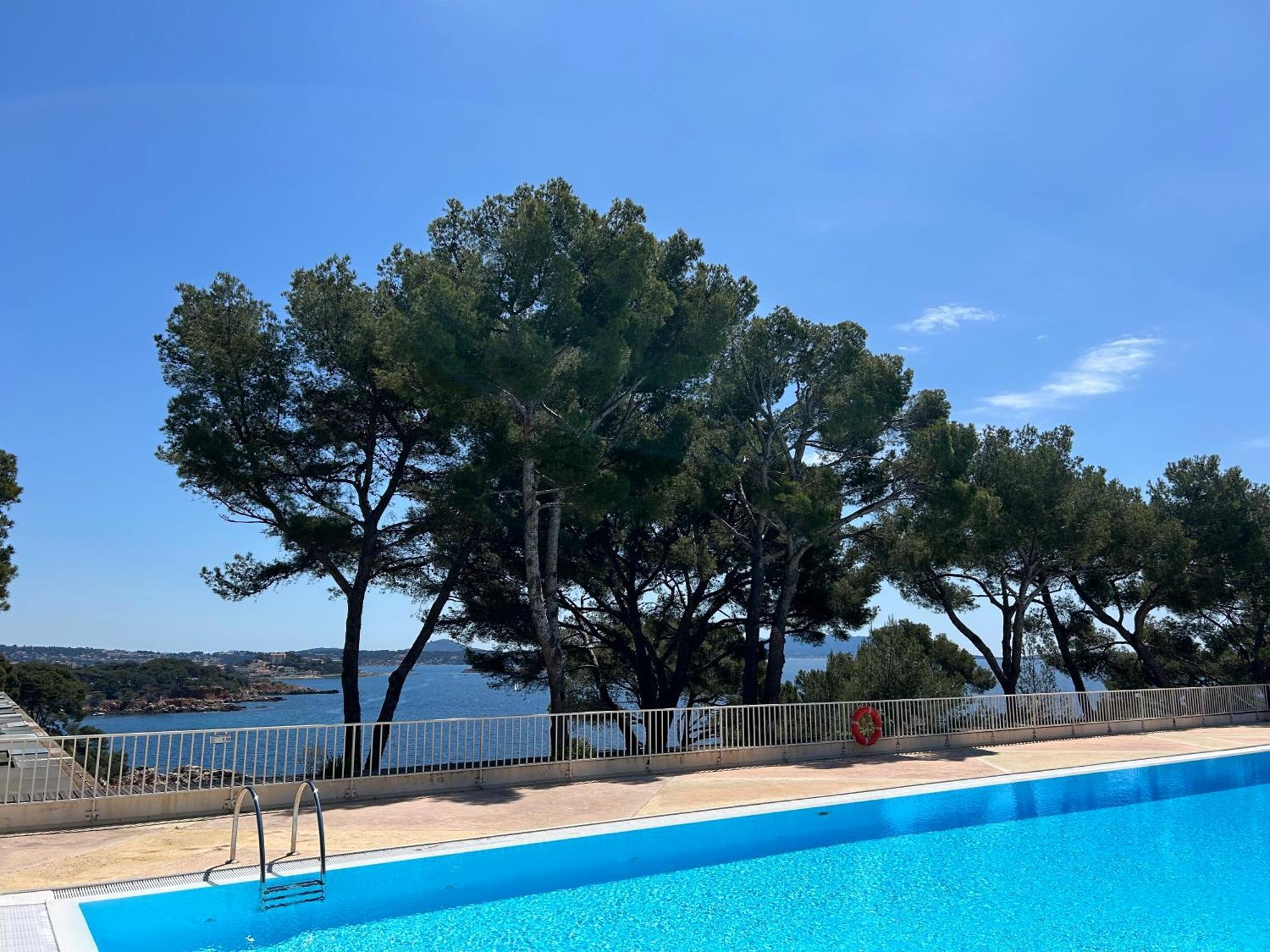 Horizon Bleu Bandol : Appartement Pieds Dans L'Eau Eksteriør billede